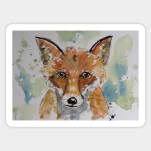 Red Fox Portrait Sticker